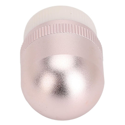 Volcanic Facial Oil Absorbing Roller for Oily Skin - Egg-Shaped Design with Replacement Ball
