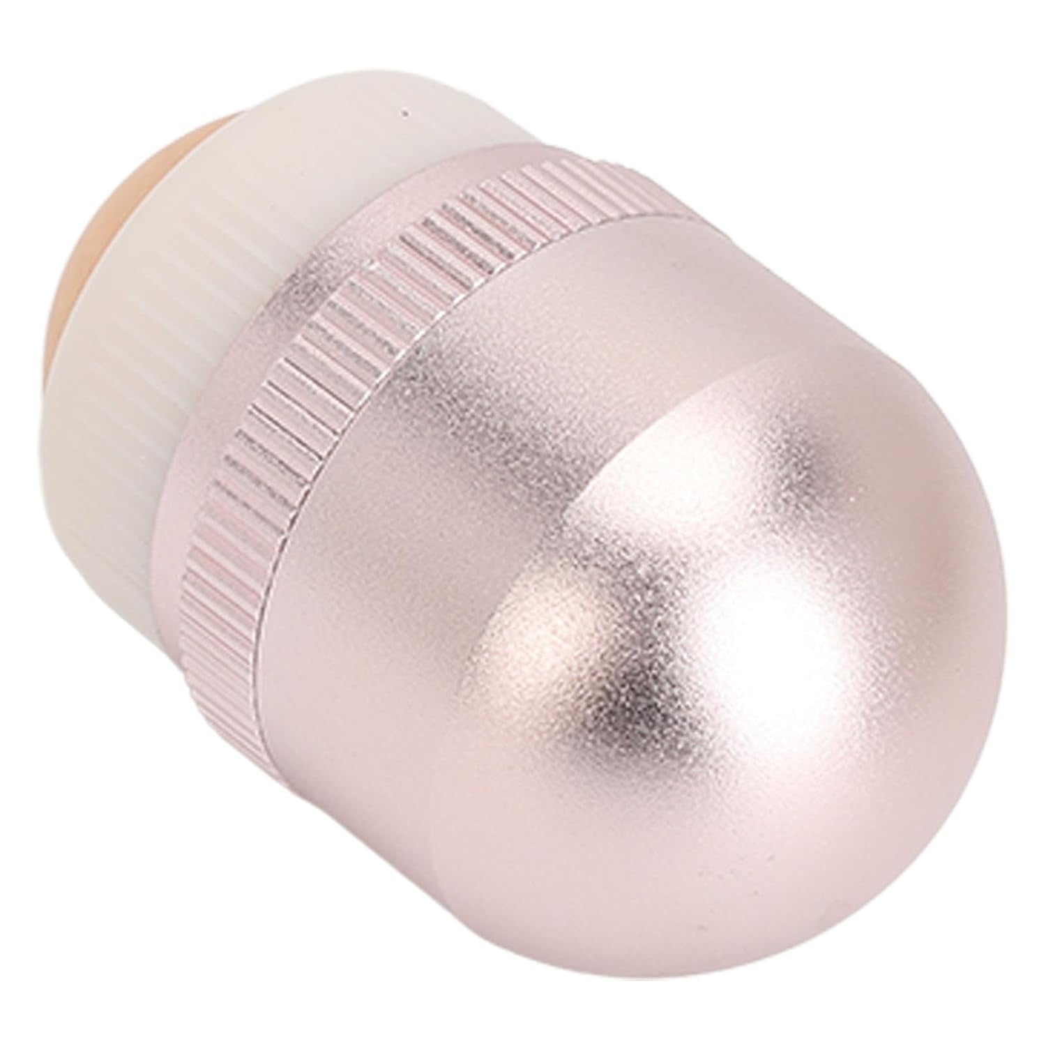 Volcanic Facial Oil Absorbing Roller for Oily Skin - Egg-Shaped Design with Replacement Ball